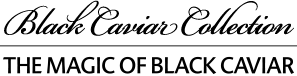 BCC black1 logo